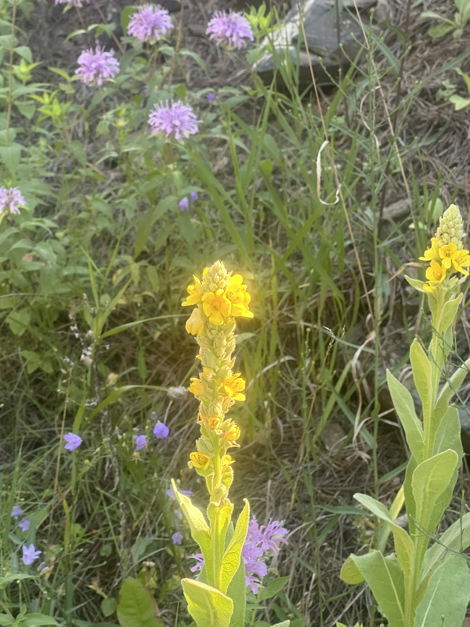 South Dakota - Image 76